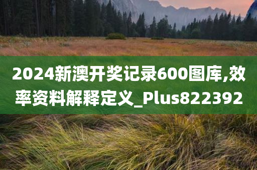 2024新澳开奖记录600图库,效率资料解释定义_Plus822392