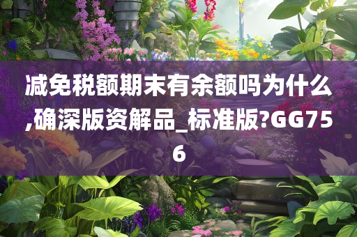 减免税额期末有余额吗为什么,确深版资解品_标准版?GG756