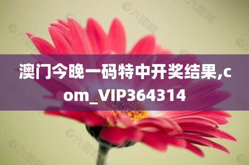 澳门今晚一码特中开奖结果,com_VIP364314