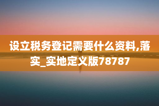 设立税务登记需要什么资料,落实_实地定义版78787