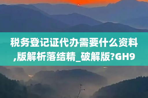 税务登记证代办需要什么资料,版解析落结精_破解版?GH9