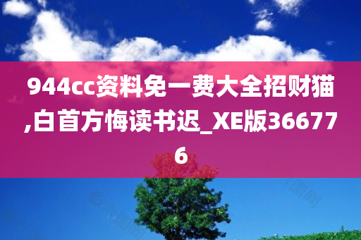 944cc资料免一费大全招财猫,白首方悔读书迟_XE版366776