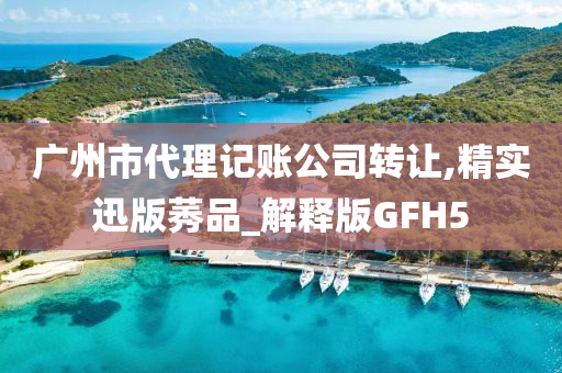 广州市代理记账公司转让,精实迅版莠品_解释版GFH5