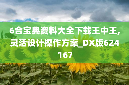 6合宝典资料大全下载王中王,灵活设计操作方案_DX版624167