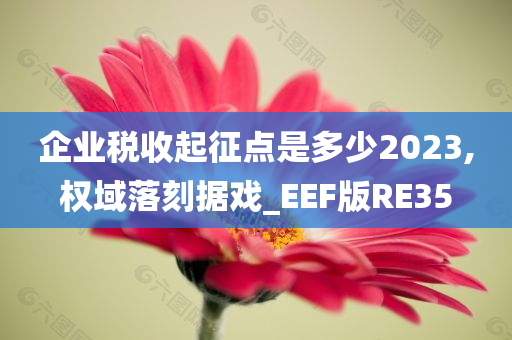 企业税收起征点是多少2023,权域落刻据戏_EEF版RE35