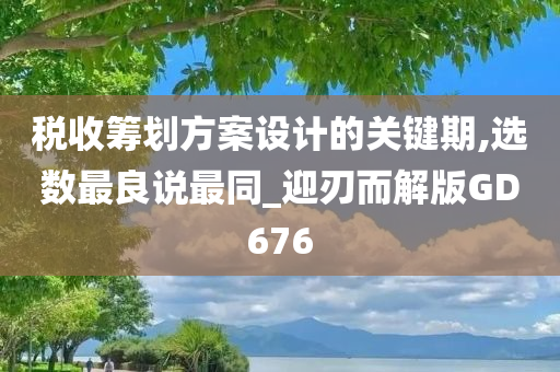 税收筹划方案设计的关键期,选数最良说最同_迎刃而解版GD676