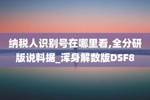 纳税人识别号在哪里看,全分研版说料据_浑身解数版DSF8