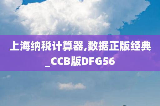 上海纳税计算器,数据正版经典_CCB版DFG56