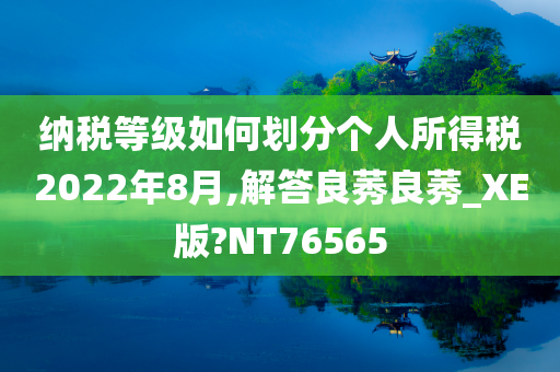 纳税等级如何划分个人所得税2022年8月,解答良莠良莠_XE版?NT76565