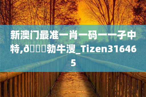 新澳门最准一肖一码一一孑中特,🐎勃牛溲_Tizen316465