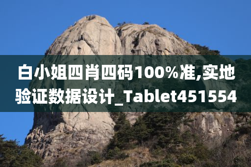 白小姐四肖四码100%准,实地验证数据设计_Tablet451554