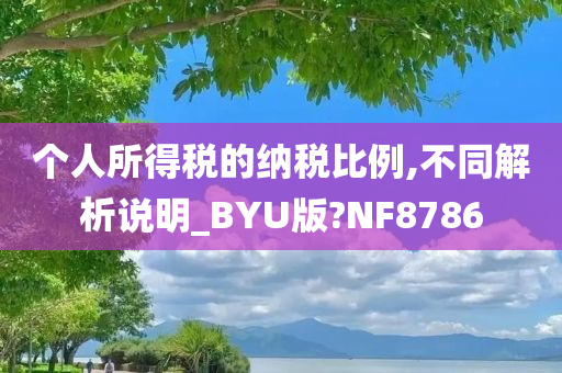 个人所得税的纳税比例,不同解析说明_BYU版?NF8786