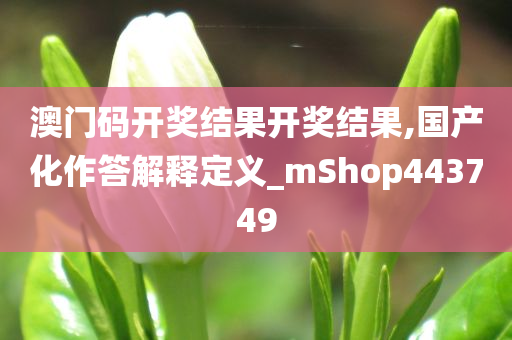 澳门码开奖结果开奖结果,国产化作答解释定义_mShop443749