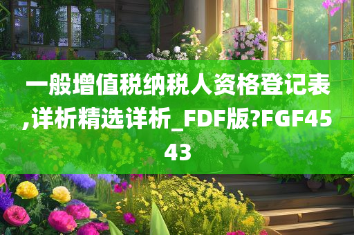 一般增值税纳税人资格登记表,详析精选详析_FDF版?FGF4543