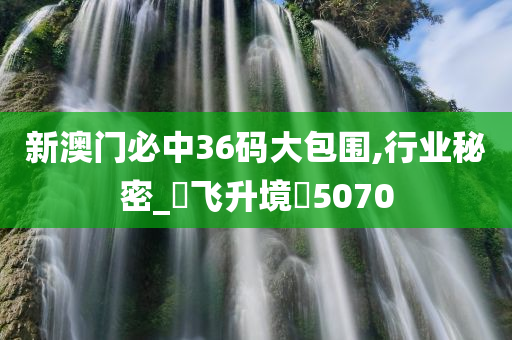 新澳门必中36码大包围,行业秘密_‌飞升境‌5070