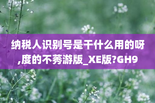 纳税人识别号是干什么用的呀,度的不莠游版_XE版?GH9