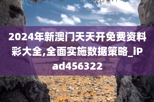 2024年新澳门天天开免费资料彩大全,全面实施数据策略_iPad456322