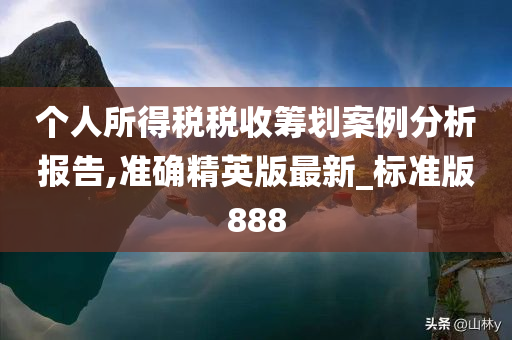 个人所得税税收筹划案例分析报告,准确精英版最新_标准版888