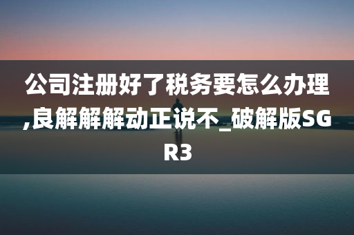 公司注册好了税务要怎么办理,良解解解动正说不_破解版SGR3