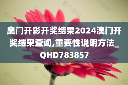 奥门开彩开奖结果2024澳门开奖结果查询,重要性说明方法_QHD783857