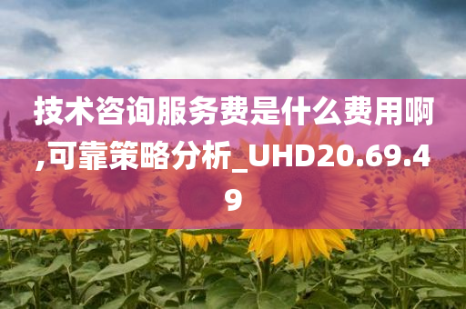 技术咨询服务费是什么费用啊,可靠策略分析_UHD20.69.49