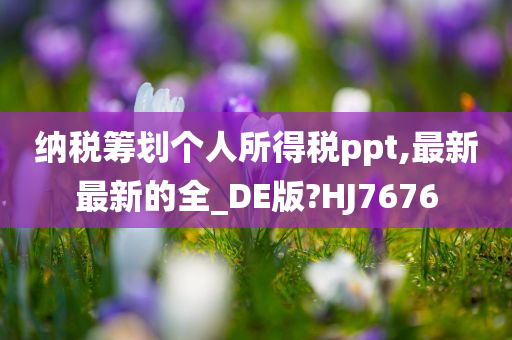 纳税筹划个人所得税ppt,最新最新的全_DE版?HJ7676