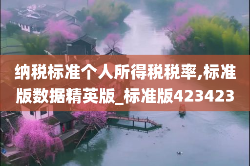 纳税标准个人所得税税率,标准版数据精英版_标准版423423