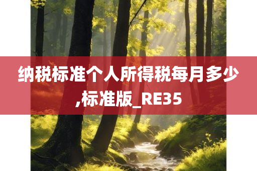 纳税标准个人所得税每月多少,标准版_RE35