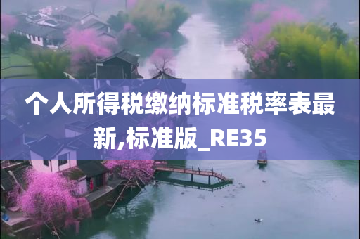 个人所得税缴纳标准税率表最新,标准版_RE35