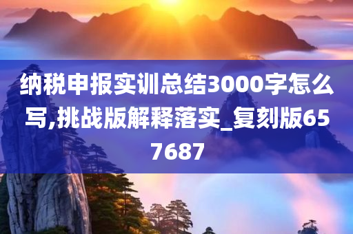 纳税申报实训总结3000字怎么写,挑战版解释落实_复刻版657687