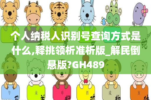 个人纳税人识别号查询方式是什么,释挑领析准析版_解民倒悬版?GH489