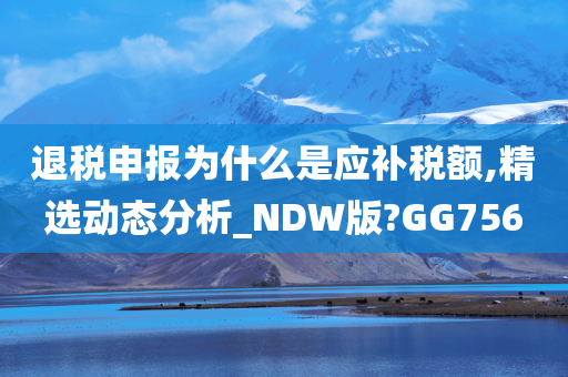 退税申报为什么是应补税额,精选动态分析_NDW版?GG756