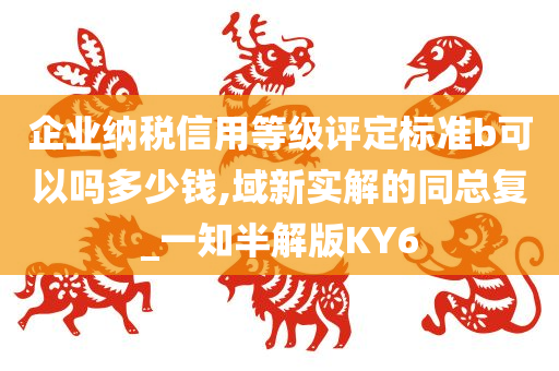 企业纳税信用等级评定标准b可以吗多少钱,域新实解的同总复_一知半解版KY6