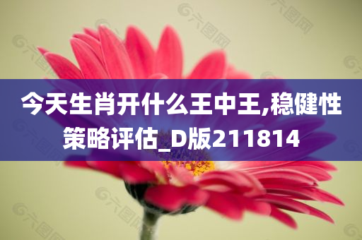 今天生肖开什么王中王,稳健性策略评估_D版211814