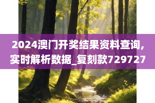 2024澳门开奖结果资料查询,实时解析数据_复刻款729727