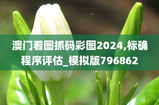 澳门看图抓码彩图2024,标确程序评估_模拟版796862