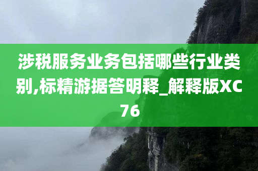 涉税服务业务包括哪些行业类别,标精游据答明释_解释版XC76