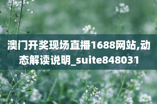 澳门开奖现场直播1688网站,动态解读说明_suite848031