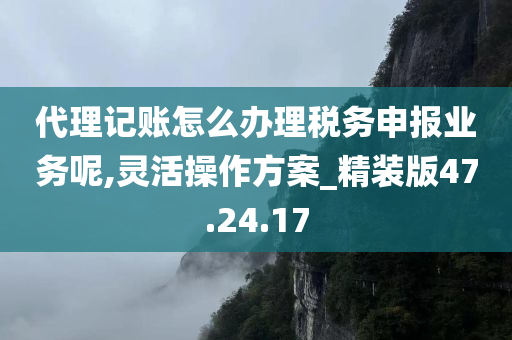 代理记账怎么办理税务申报业务呢,灵活操作方案_精装版47.24.17