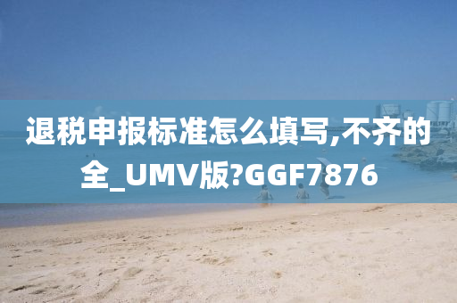 退税申报标准怎么填写,不齐的全_UMV版?GGF7876