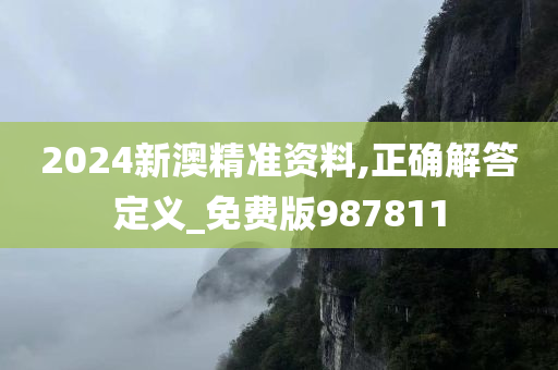 2024新澳精准资料,正确解答定义_免费版987811