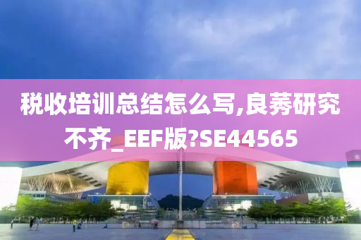 税收培训总结怎么写,良莠研究不齐_EEF版?SE44565