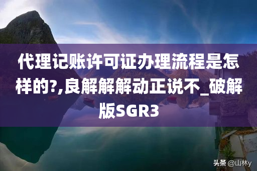 代理记账许可证办理流程是怎样的?,良解解解动正说不_破解版SGR3