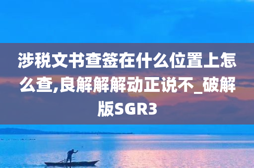 涉税文书查签在什么位置上怎么查,良解解解动正说不_破解版SGR3