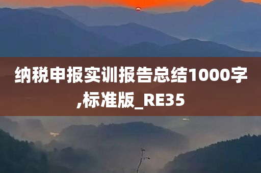 纳税申报实训报告总结1000字,标准版_RE35