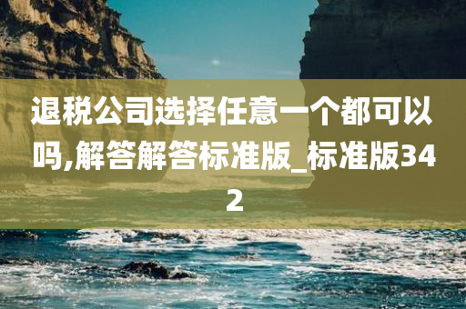 退税公司选择任意一个都可以吗,解答解答标准版_标准版342