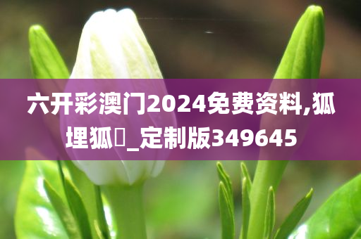 六开彩澳门2024免费资料,狐埋狐搰_定制版349645