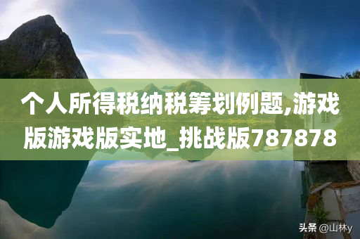 个人所得税纳税筹划例题,游戏版游戏版实地_挑战版787878