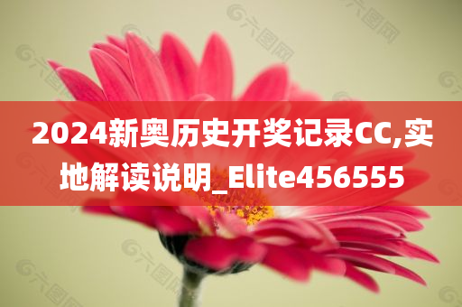 2024新奥历史开奖记录CC,实地解读说明_Elite456555