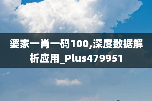 婆家一肖一码100,深度数据解析应用_Plus479951